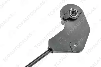 BMW X5 E53 2000-2006