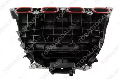 BMW 1 2 3 4 5 Z4 F20 F21 F22 F23 F30 F31 F32 F34 F36 F10 F11 E89