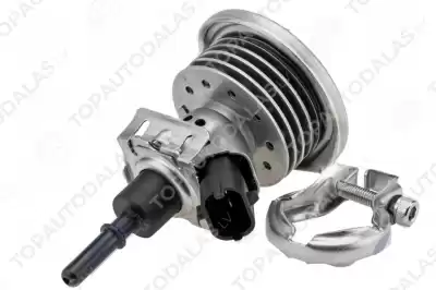 AUDI A4 A5 A6 A7 A8 Q5 Q7 SEAT ALAHAMBRA SKODA YETI VW CC CADDY CRAFTER PASSAT SHARAN TOUAREG TDI