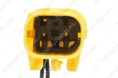 MINI 2013-