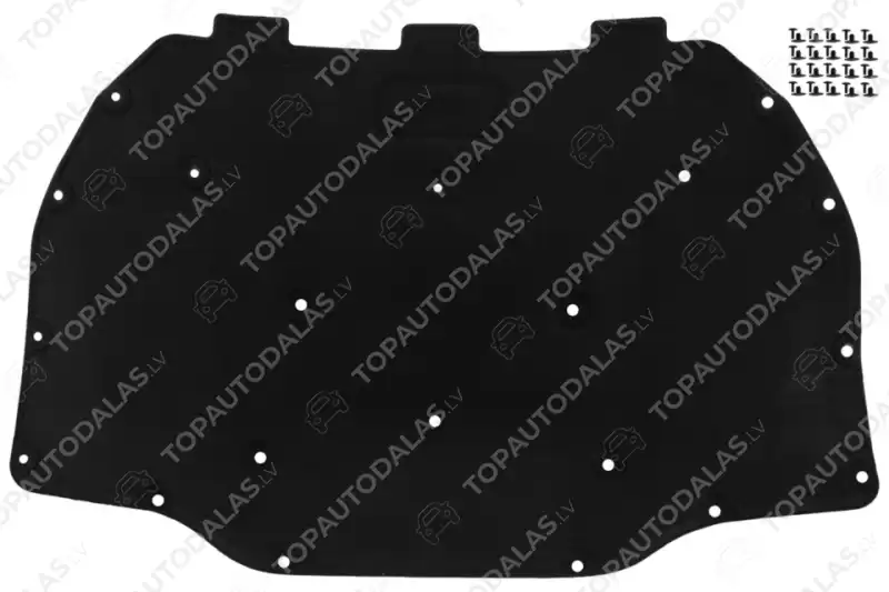 BMW 5GT F07 2009- Variklio nišos garso izoliacijos medžiaga  51489138474 9138474