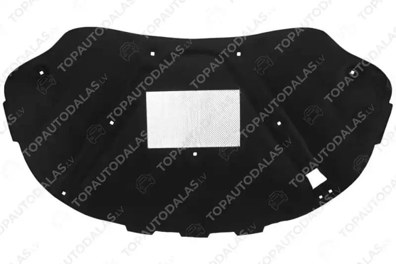 VW PASSAT CC B6 2008- Variklio nišos garso izoliacijos medžiaga  3C8863831B 3C8 863 831 B