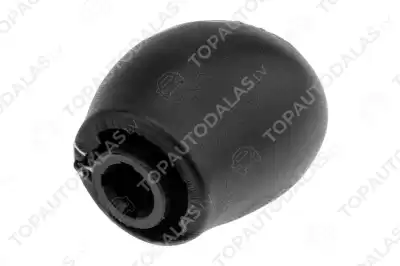 RENAULT GRAND SCENIC II 2004- 6MTM