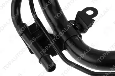 TOYOTA CAMRY USA LEXUS ES300 330 2.4 3.0 2001-